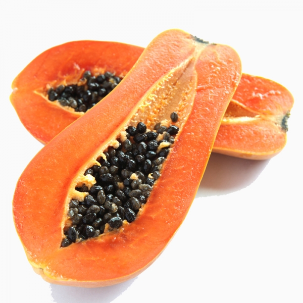 holland papaya